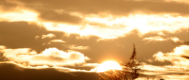 「日落餘暉」 ~ 攝於香港科技大學‧清水灣‧香港 ~ 2004.11.27 ~ Canon EOS 20D ~ Canon 70-200mm L Lens ~ F8.0 1/800